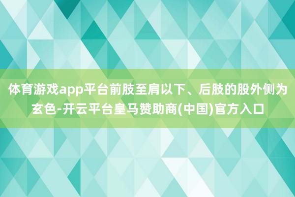 体育游戏app平台前肢至肩以下、后肢的股外侧为玄色-开云平台皇马赞助商(中国)官方入口