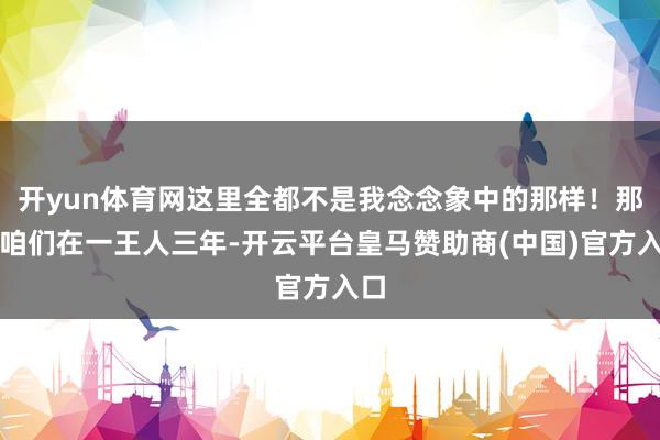 开yun体育网这里全都不是我念念象中的那样！那时咱们在一王人三年-开云平台皇马赞助商(中国)官方入口